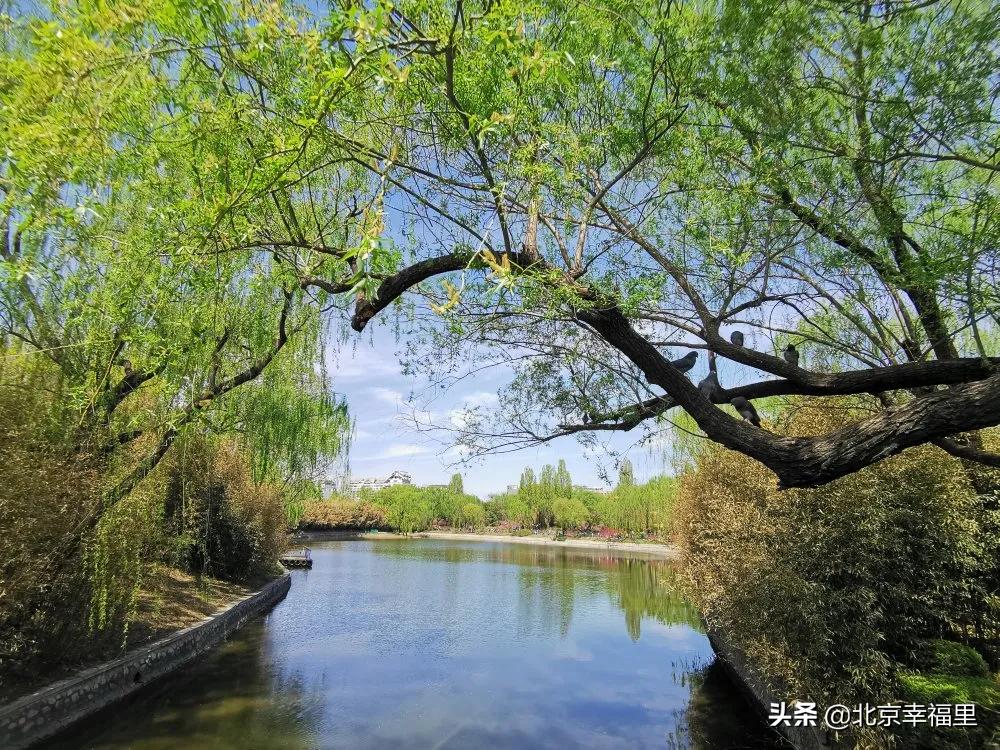 魏公村地铁站南次新楼盘 (魏公村北区房子值得买吗)