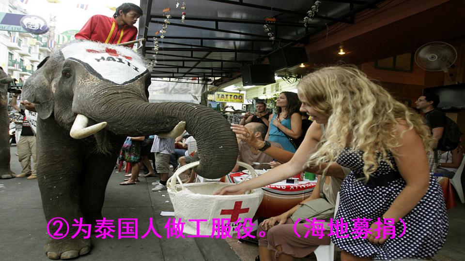 五年级下册与象共舞的作者是谁,与象共舞语文五年级下册老版