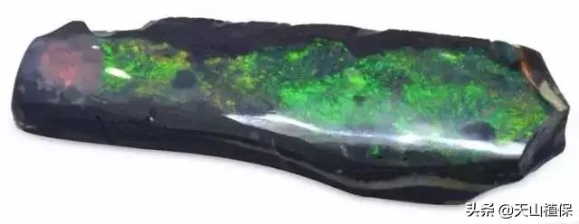怎么捡到价值极高的石头,捡到一块石头价值千万