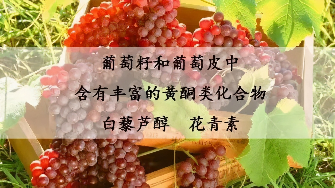 奇异果和猕猴桃葡萄的区别,猕猴桃跟奇异果营养有什么区别