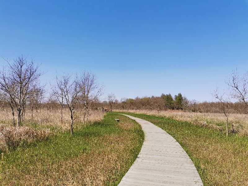 崇明岛东滩湿地公园附近美食,崇明岛东滩湿地公园