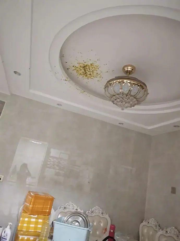 百香果的威力有多强,百香果果酱爆炸威力