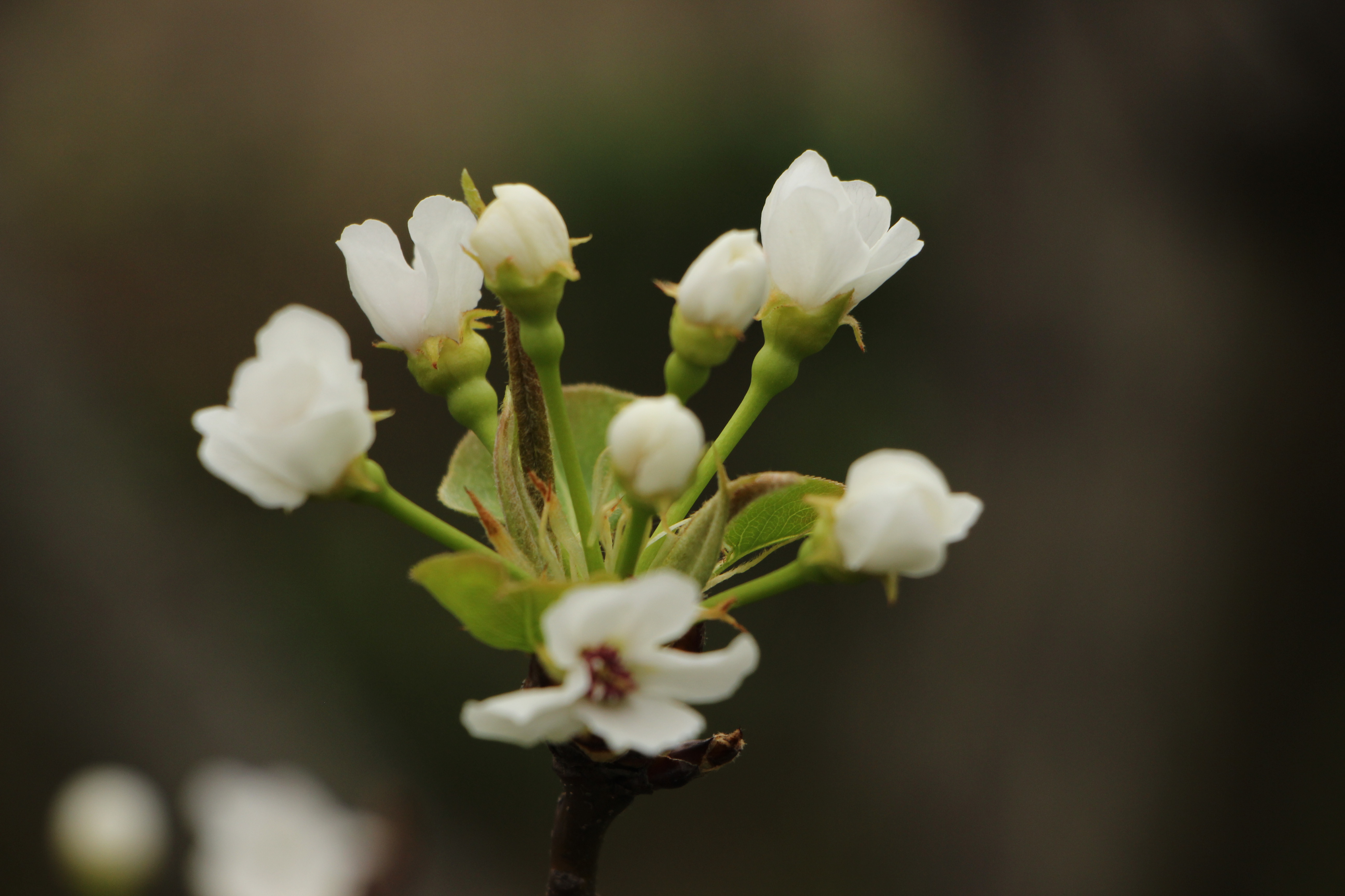 为什么老实人福气大,老实人遇见老实人会怎样