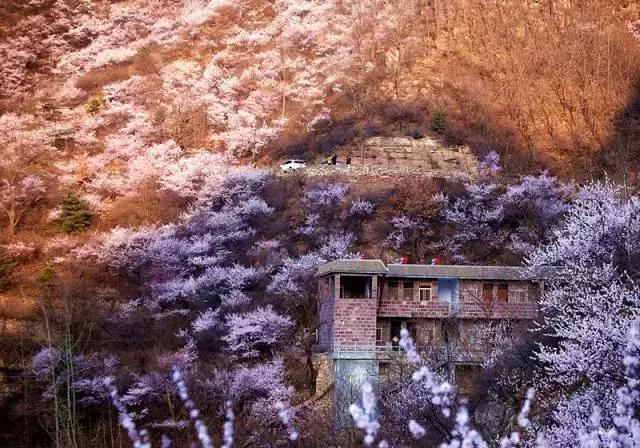 河南太行大峡谷桃花谷攻略,河南桃花谷风景