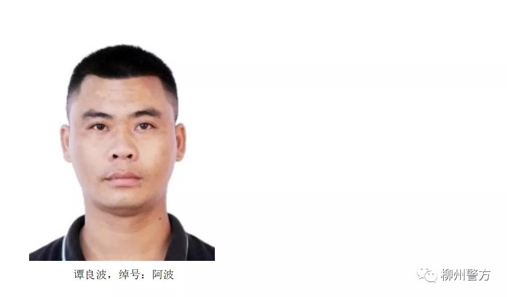 柳州警方打击黑恶势力,柳州市重大涉黑涉恶案