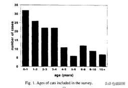 为什么猫咪沉迷吃手指,猫咪为啥沉迷红点