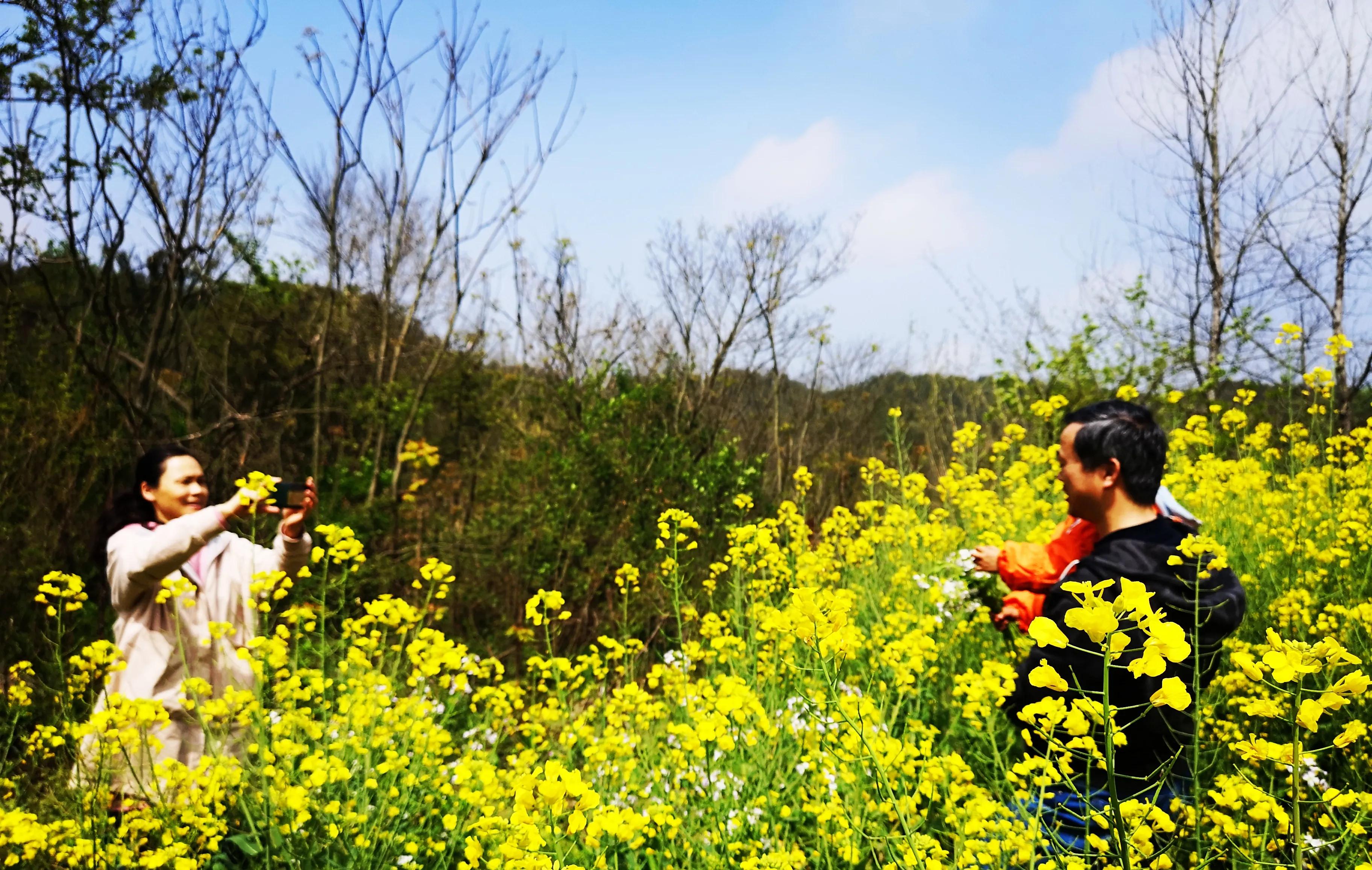 我的美好田园生活,这才是真正的田园生活