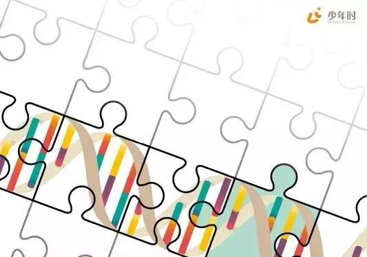 费城染色体p210阳性,费城染色体的由来