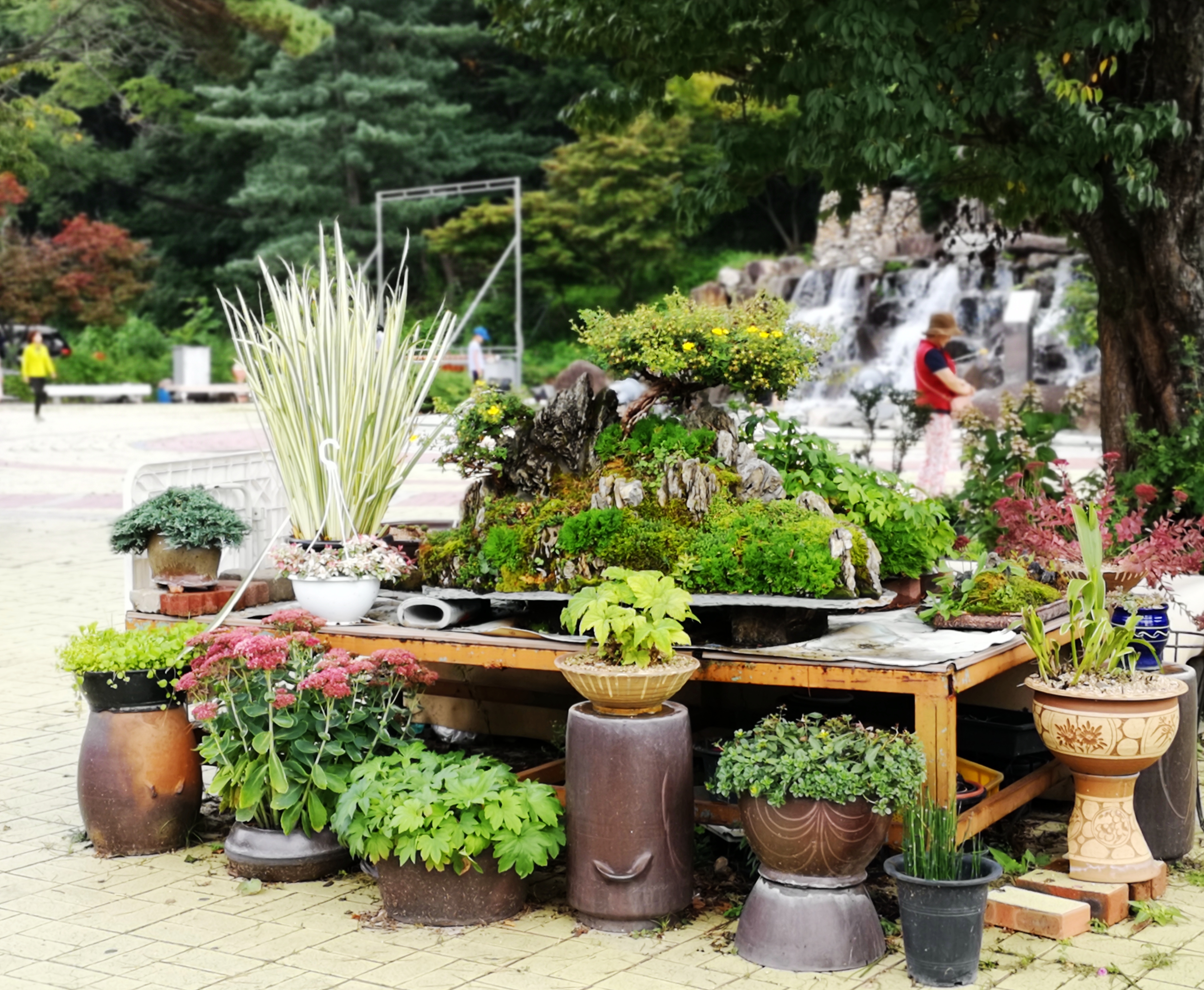 俗离山和法住寺——走进没有代购的别样韩国