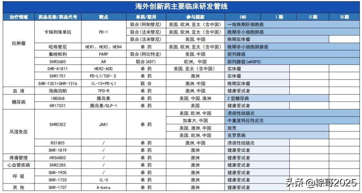 从长远来看恒瑞医药,医药一哥恒瑞医药