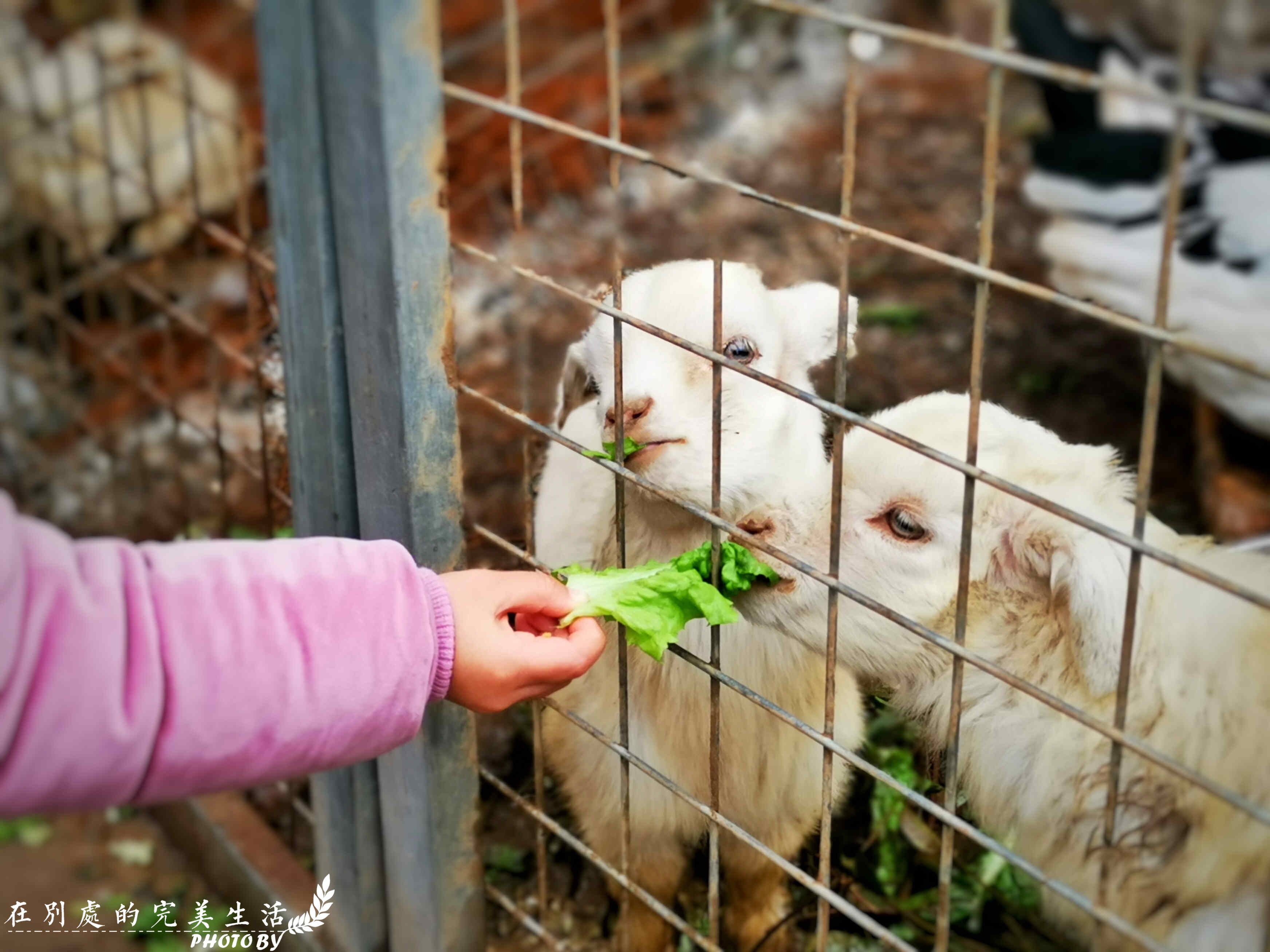没有温泉的冬天是不完整的，汤山御庭臻品，你能想到的全都备妥