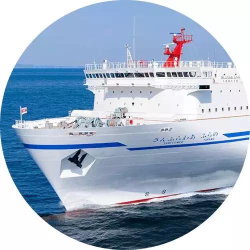 你也许看过许多海景，唯独漏掉了这条王道性价比的豪华海洋之路