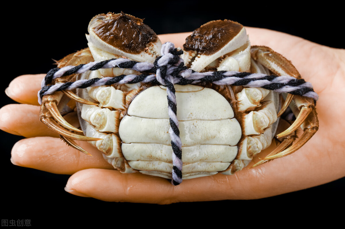 活螃蟹冷冻好还是熟螃蟹冷冻好,螃蟹煮熟放冰箱冷冻多久能吃