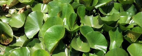 国学经典书推荐,国学经典4本书必读