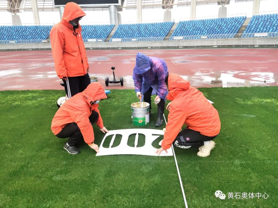 毛铺紫荞酒2019,毛铺紫荞酒1.68l