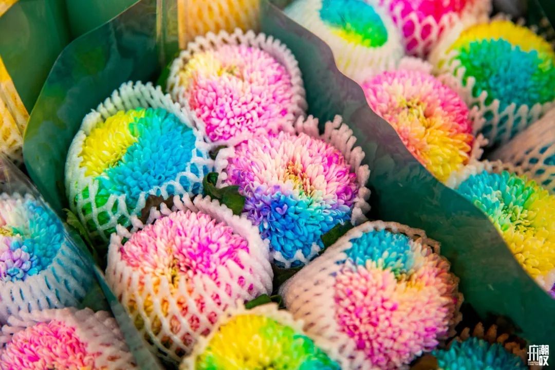 广州最便宜的花卉市场1块钱,广州岭南花卉市场买花攻略