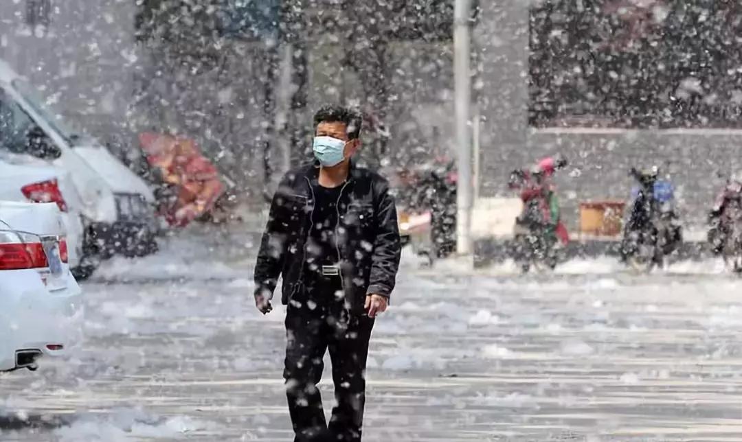 被柳絮困扰,被柳絮搞到崩溃是什么体验