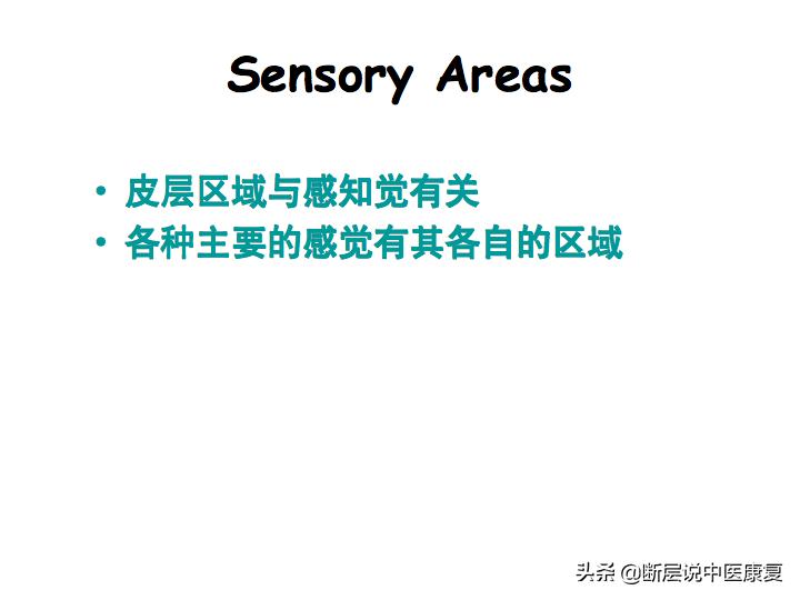 中枢神经系统断层解剖讲解,中枢神经3d解剖动画