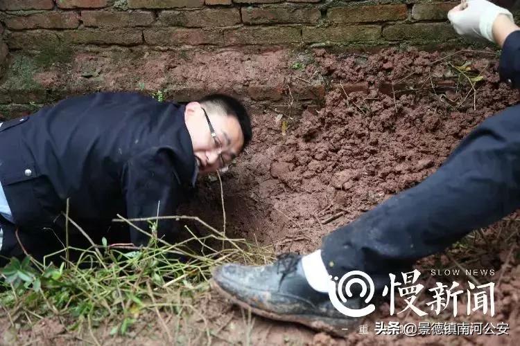 法医悬疑系列电影,10部好看的法医悬疑电影