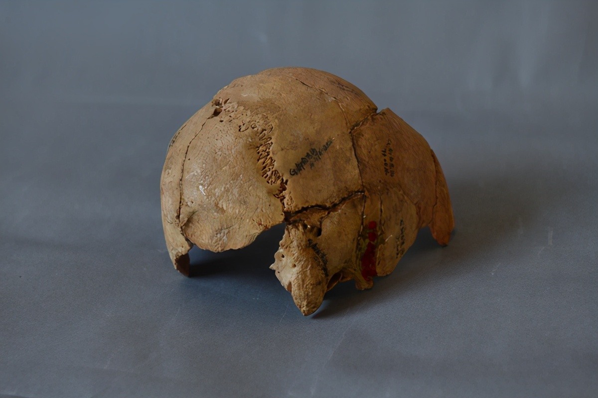 平凉第一人,泾川第一人