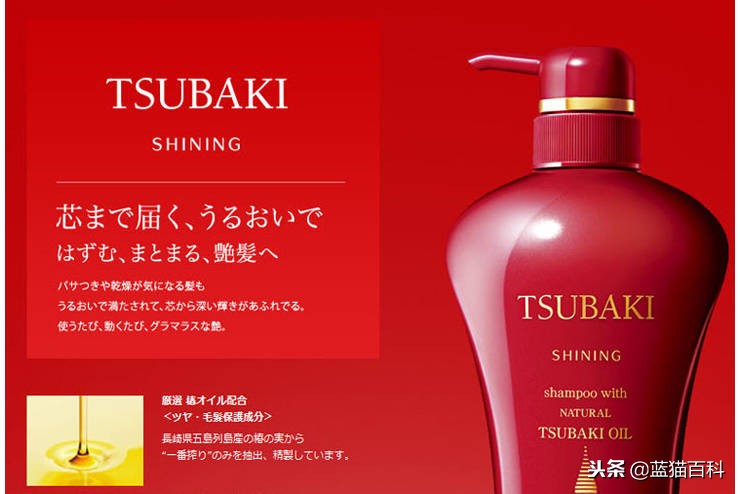 七款好洗发水推荐,10款公认最好的洗发水