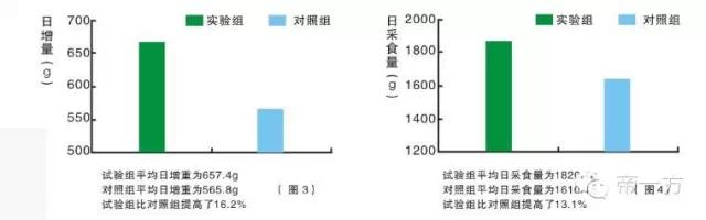 猪催肥产品,催肥剂增肥
