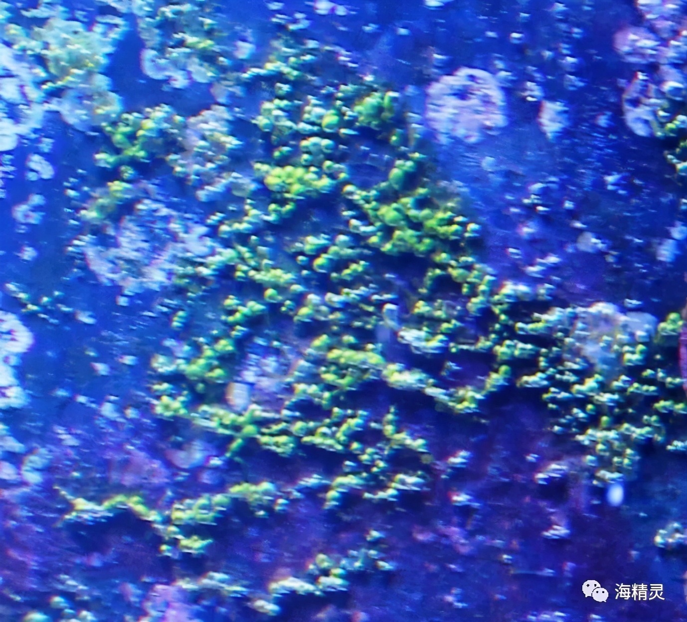 怎么才能从众人中脱颖而出,如何让自己从人群中脱颖而出