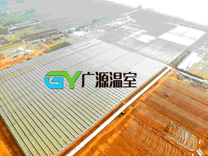 蔬菜玻璃温室大棚的造价,玻璃温室大棚建设厂家橘子测试