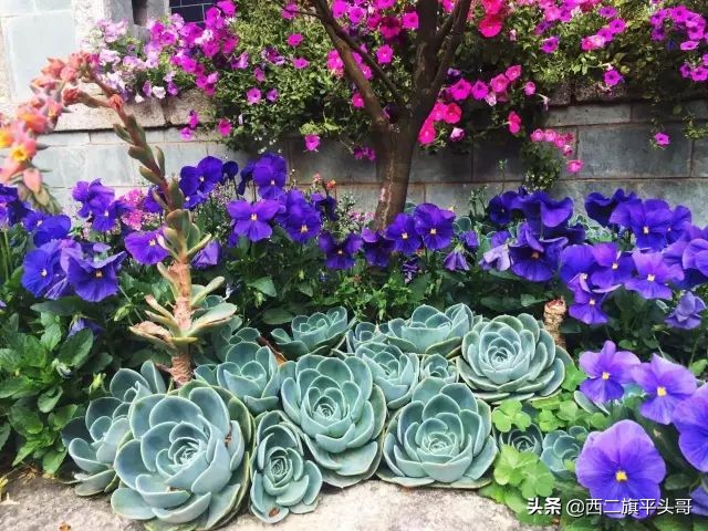 中国最美尼姑庵图片,全中国最美的尼姑庵