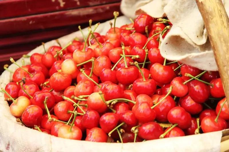 西安2023樱桃采摘园附近,西安樱桃采摘园地图