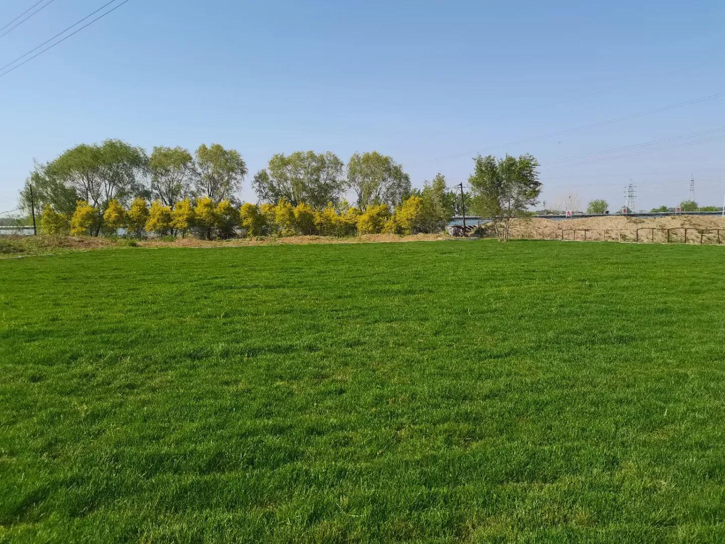 念初时光农场位置,念初时光农场有铁锅吗