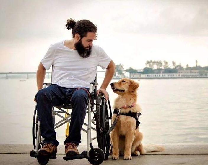 公认最好的十大狗狗排行榜,狗狗排行榜颜值第一的狗是哪种狗