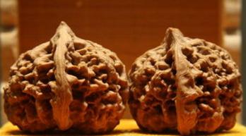 四大名核之一的核桃是哪几种,核桃里的四大名核