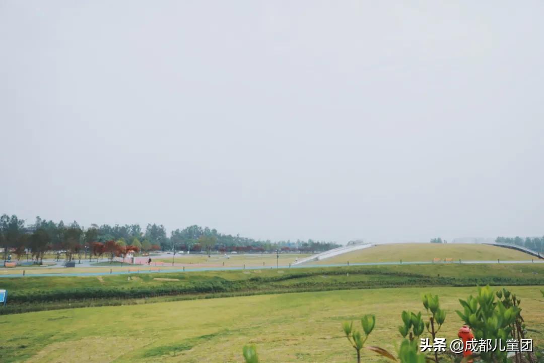 空港花田和空港体育公园哪个好,空港运动公园看飞机攻略