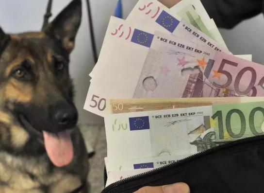 心血整理！过签后你必须了解的入境法则（包含多国）