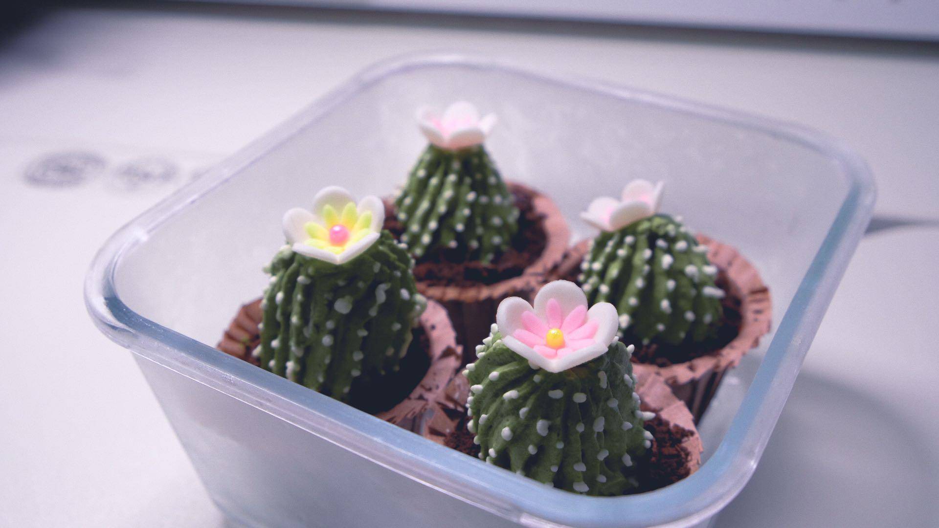 零基础的最新裱花教程你学会了吗,学习裱花速成的办法