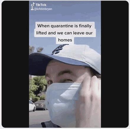 杀人蜂为什么那么可怕,杀人蜂到底有多厉害