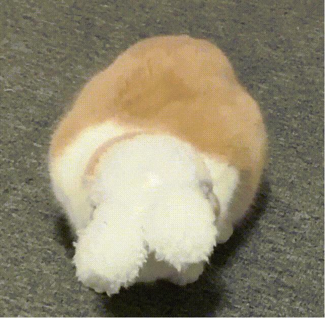 图大明白|404错误为什么是NotFound?为什么是404?