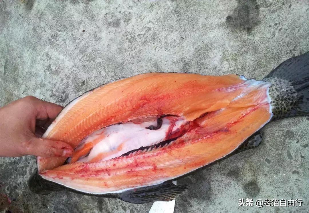 越南旅游自由行攻略详解,越南旅游攻略和自由行攻略