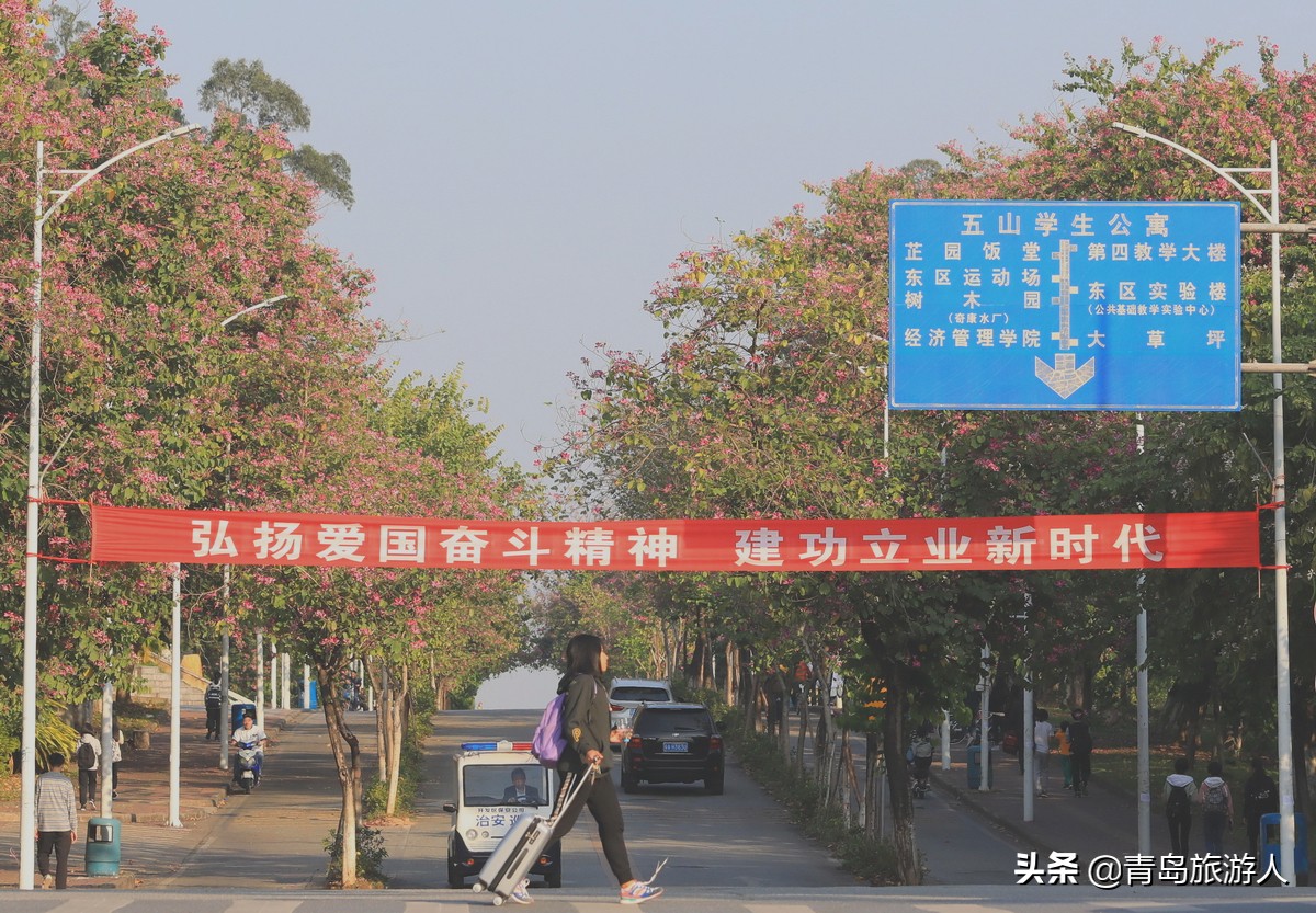 报旅游管理专业的那位同学，你笑得有点早