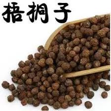 法国梧桐树转世(中英双语)