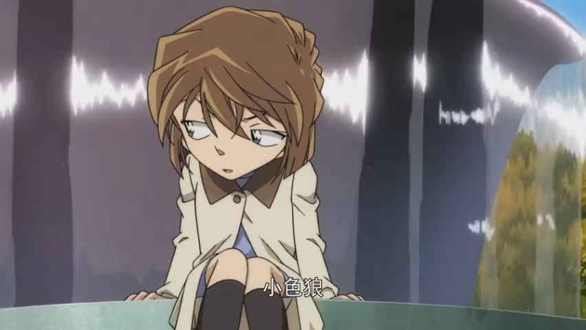 柯南看灰原哀穿毛线衣,毛利兰穿jk裙