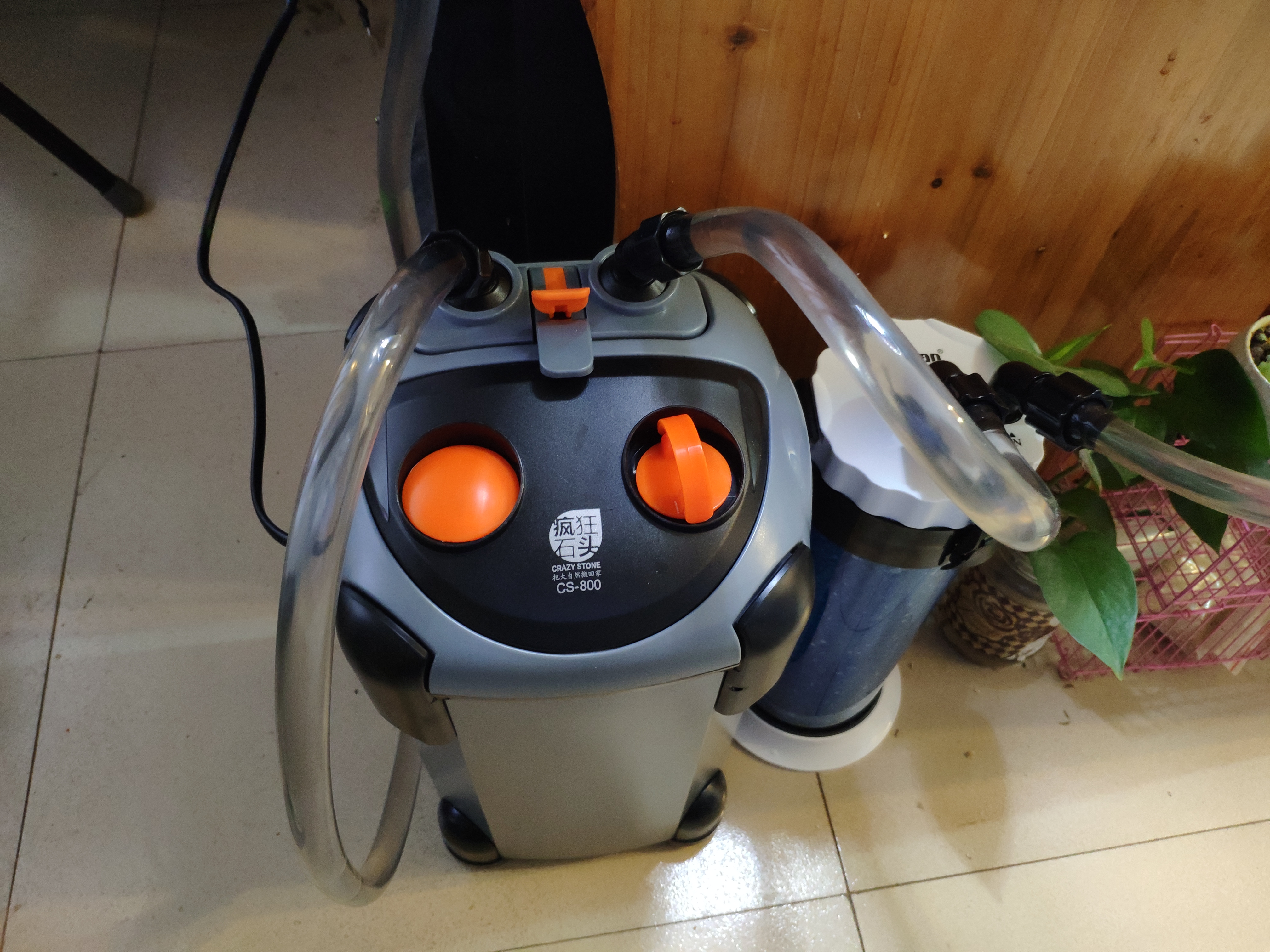 入坑草缸的两个作品,新手草缸用什么过滤最佳