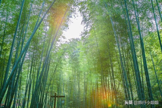 天目湖加南山竹海哪里泡温泉好,天目湖度假秘境享受绝美自然山水