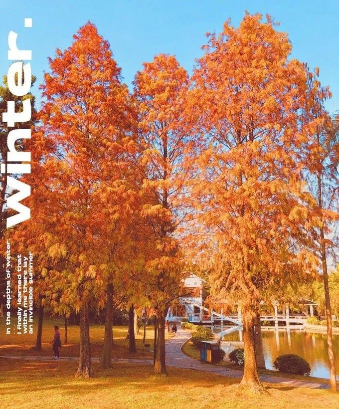 春节厦门自由行5日游攻略,自由行攻略厦门旅游景点