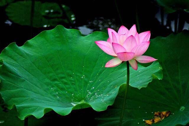 期货交易之道视频大全,期货交易之道完整版