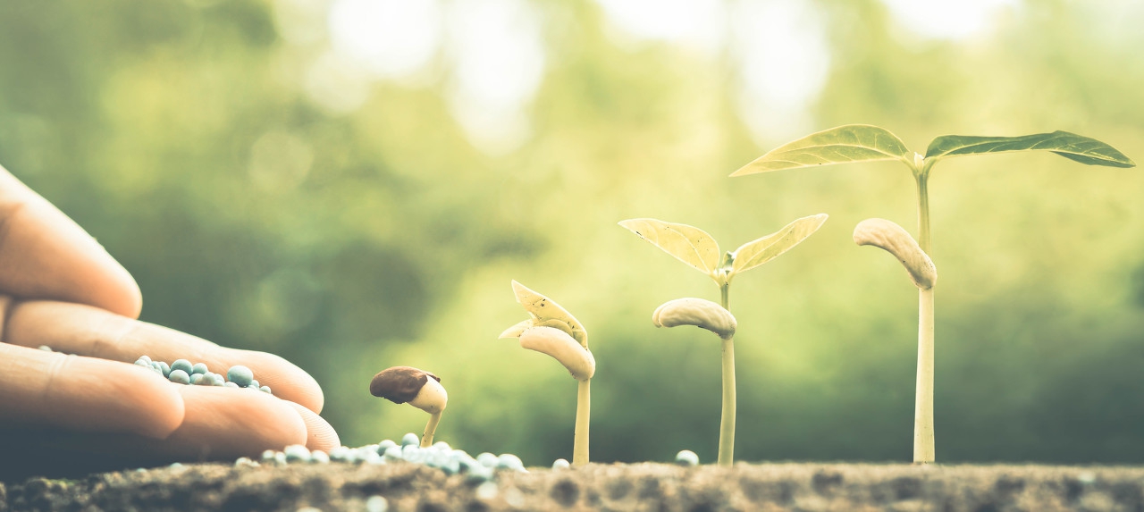 怎么熬过身体病痛的折磨,怎样熬过人生艰难的时刻