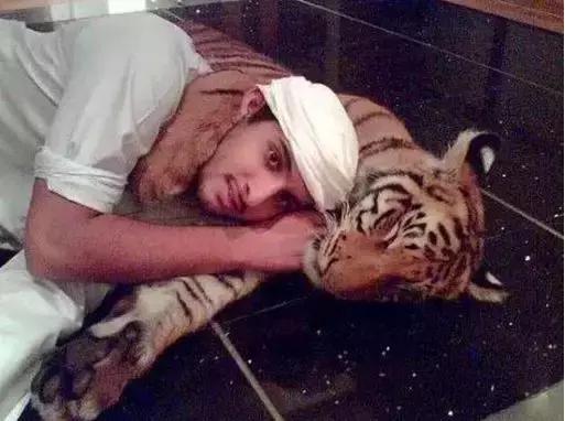 迪拜捡垃圾致富是真的吗,迪拜捡垃圾月入百万