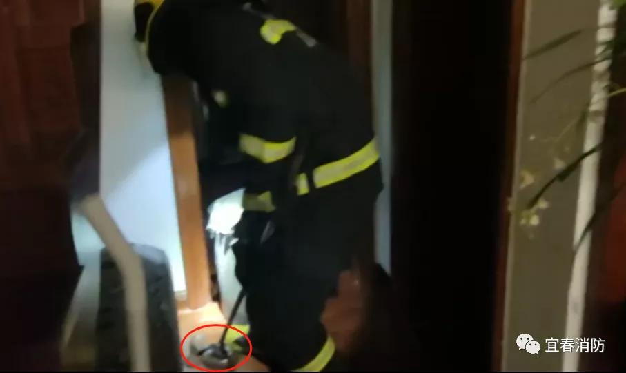 家附近蛇多怎么预防蛇不进屋,有蛇出没的地方怎么预防