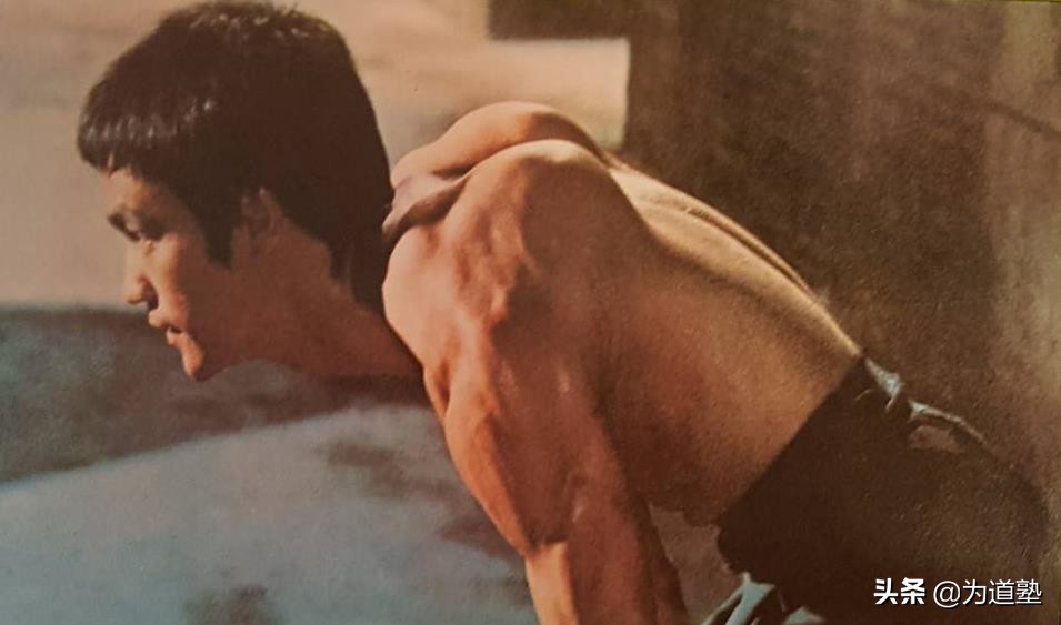 格斗界举足轻重的人物评价李小龙,史泰龙回忆李小龙的功夫有多厉害